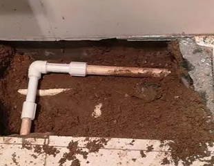 肃宁测漏水哪家好